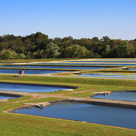 Aquatic Resources Conservation Info