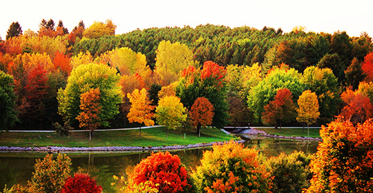 Autumn-Equinox-540x280.jpg Autumn-Equinox-540x280.jpg