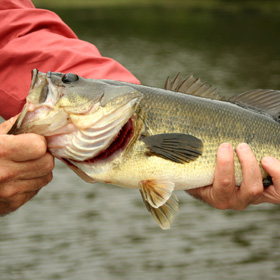 NM Free Fishing Days