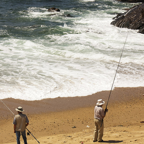 Best Times to Saltwater Fish
