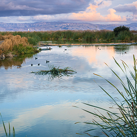 The California Delta waters