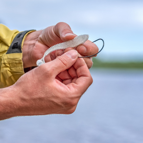 North Carolina Fishing Resources
