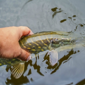 Top Fishing Spots In Washington