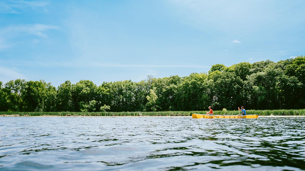 Fishing and Conservation