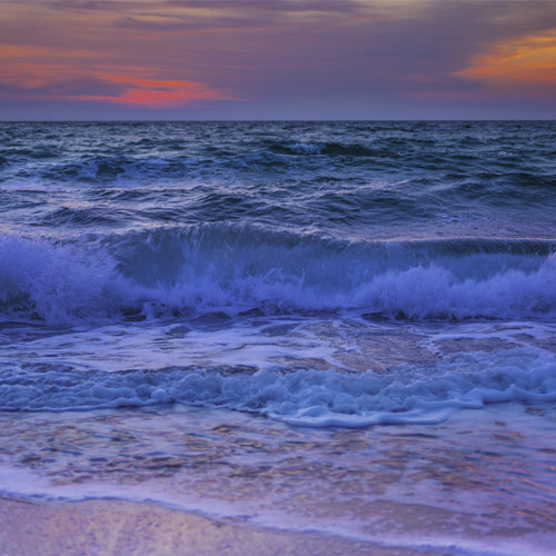 Professional Tips on Fishing High Tide