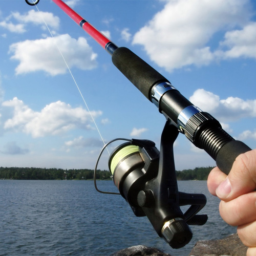 FLORIDA FISHING REGULATIONS