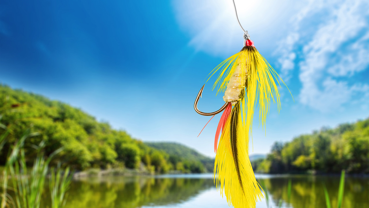 Fly Fishing Flies