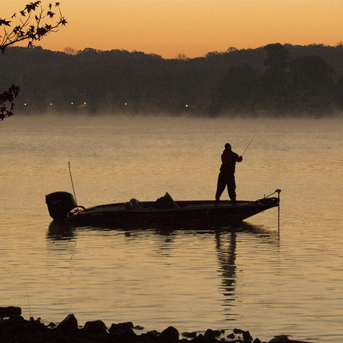Helpful Freshwater Fishing Tips & Tricks