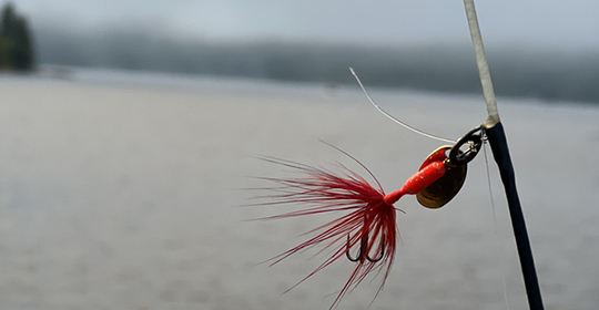 Hair-jig-2-540x280.jpg Hair-jig-2-540x280.jpg