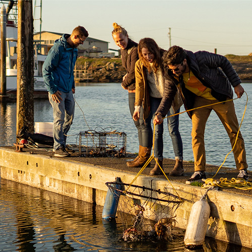 man and woman catching crab