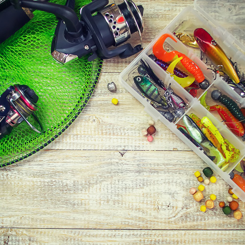 How to Choose Bait for Fishing 