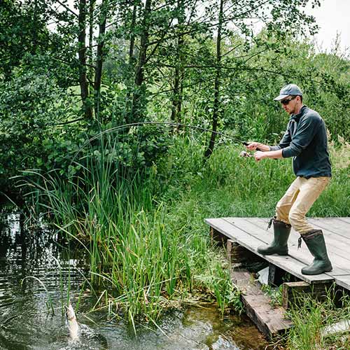 Tips on How to Chum with Live Bait 