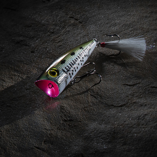 Tips & Tricks on How to Topwater Fish 
