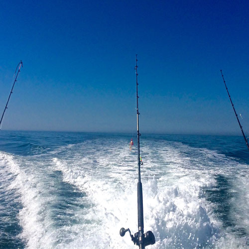 how to troll for fish