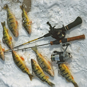 ice fishing panfish