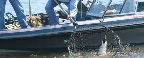 Illinois Fishing