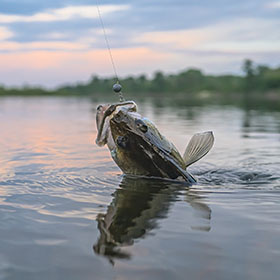 South Dakota Fishing Resources