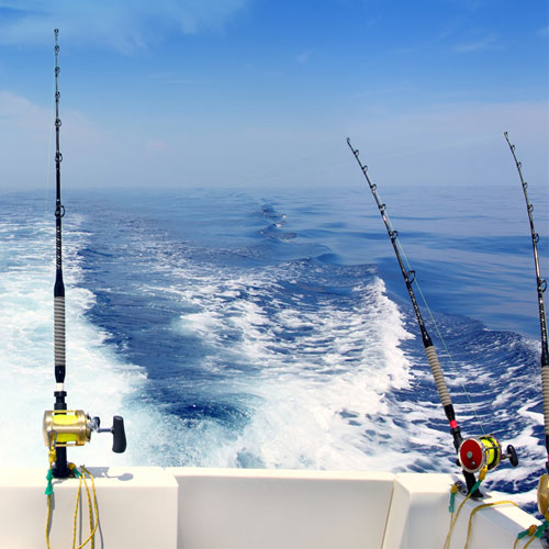 Live Lining & Live Trolling Fundamentals 