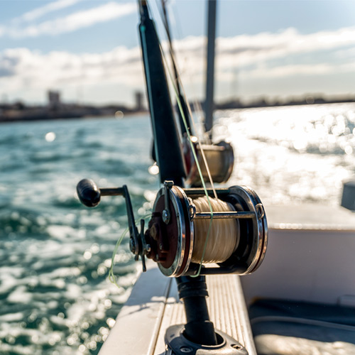 Local Fishing Report Information