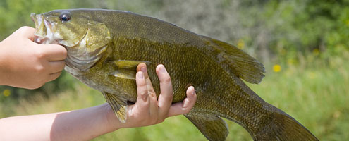 Mississippi Fishing