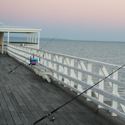 Learn to Go Pier Fishing Like a Pro