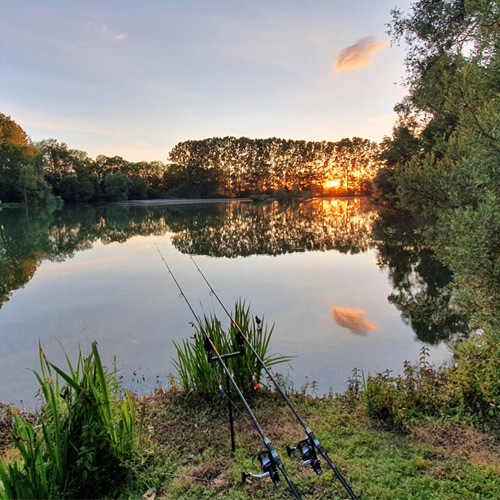 Useful Pond Fishing Tips & Info