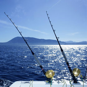 WHERE TO FISH IN FLORIDA