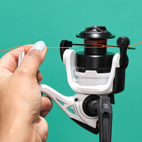 Top Saltwater Fishing Knots Information