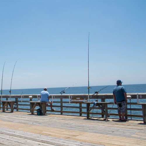 Pier & Surf Fishing