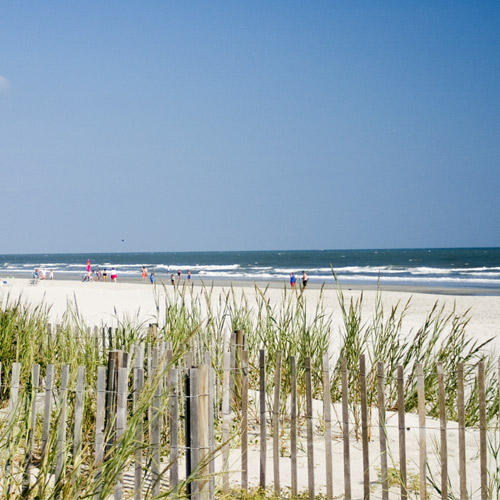 Saltwater Fishing in the US South East Coast