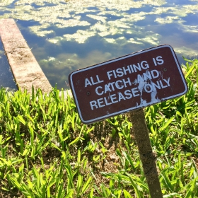 Virginia FISHING RESOURCES