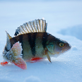 Top Fishing Spots In Oklahoma