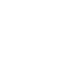 next-icon